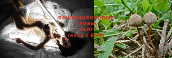 спайс Алексин